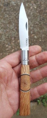 Corazón encina-encina 1